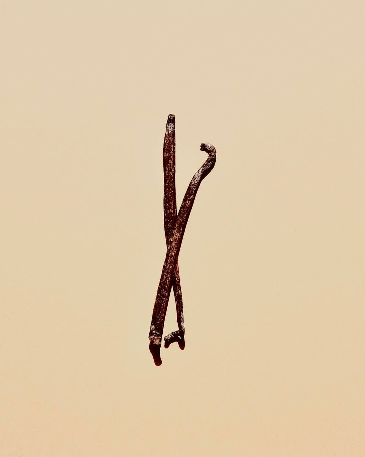 Vanil qobiqlari — namuna podi
